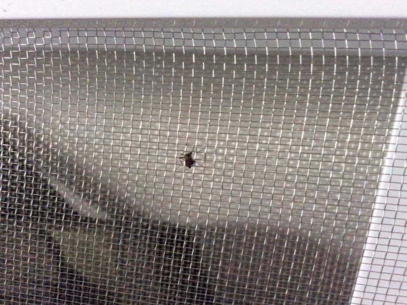 Cách chọn cửa lưới chống muỗi