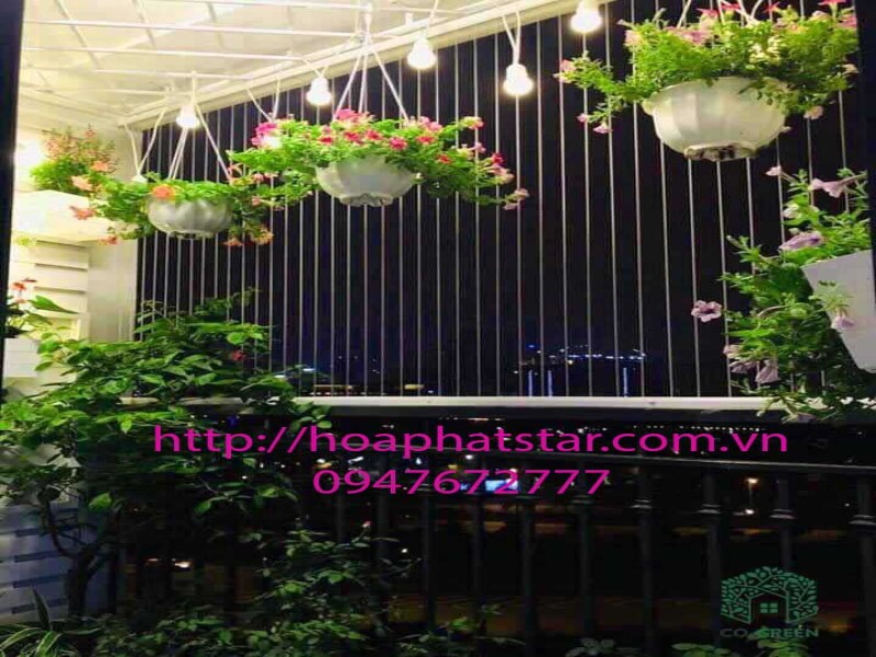 lưới bảo vệ an toàn phường Khương Mai Hà Nội