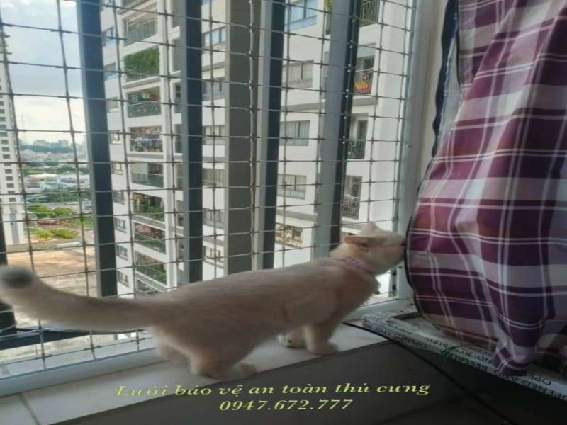 Cung Cấp Lưới bảo vệ an toàn phường Phú Diễn Hà Nội Giá Tốt 4 lưới bảo vệ an toàn phường Phú Diễn Hà Nội