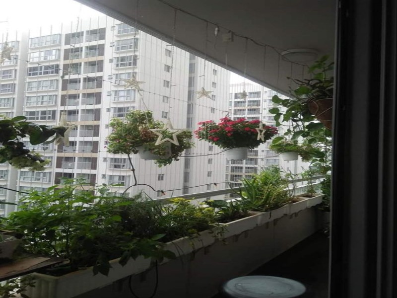 Độ dày cáp lưới bao nhiêu là tốt để vừa an toàn vừa bền đẹp? 3 Độ dày cáp lưới