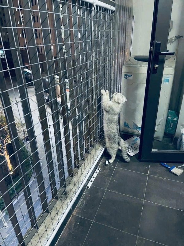 cách tính mét vuông lưới
